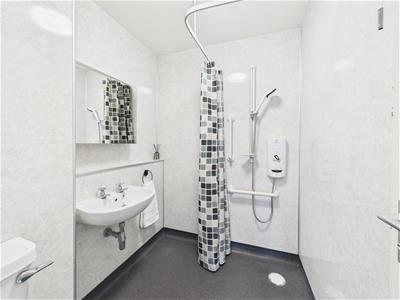 Picture 8
